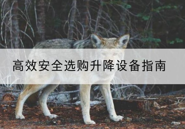 东乡升降货梯厂家推荐-*安全选购升降设备指南