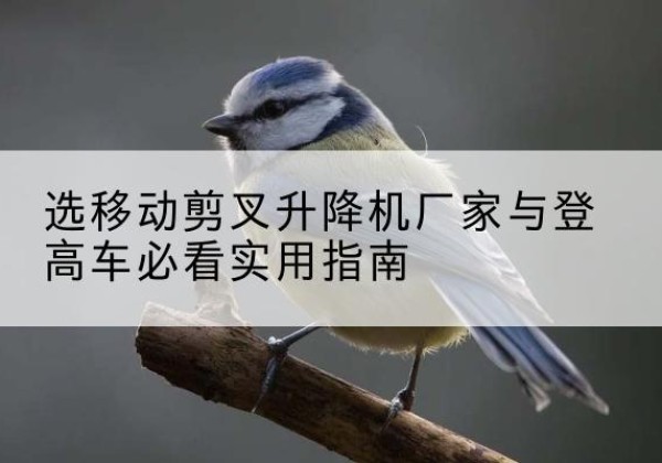 东乡电动升降机厂家-选移动剪叉升降机厂家与登高车必看实用指南